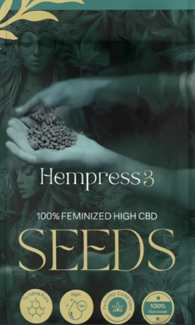 Hempress 3 CBD Seeds / Gold-20